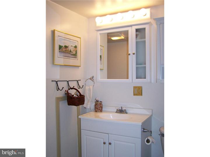 101 Chapel Hill Road Sinking Spring, PA 19608 - Photo 22 of 25 Bathroom