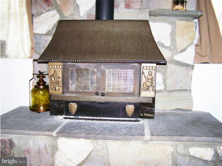 101 Chapel Hill Road Sinking Spring, PA 19608 - Photo 7 of 25 Fireplace