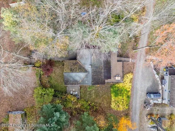 a view of a garden with large trees