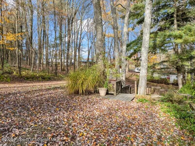 a view of a backyard of the house