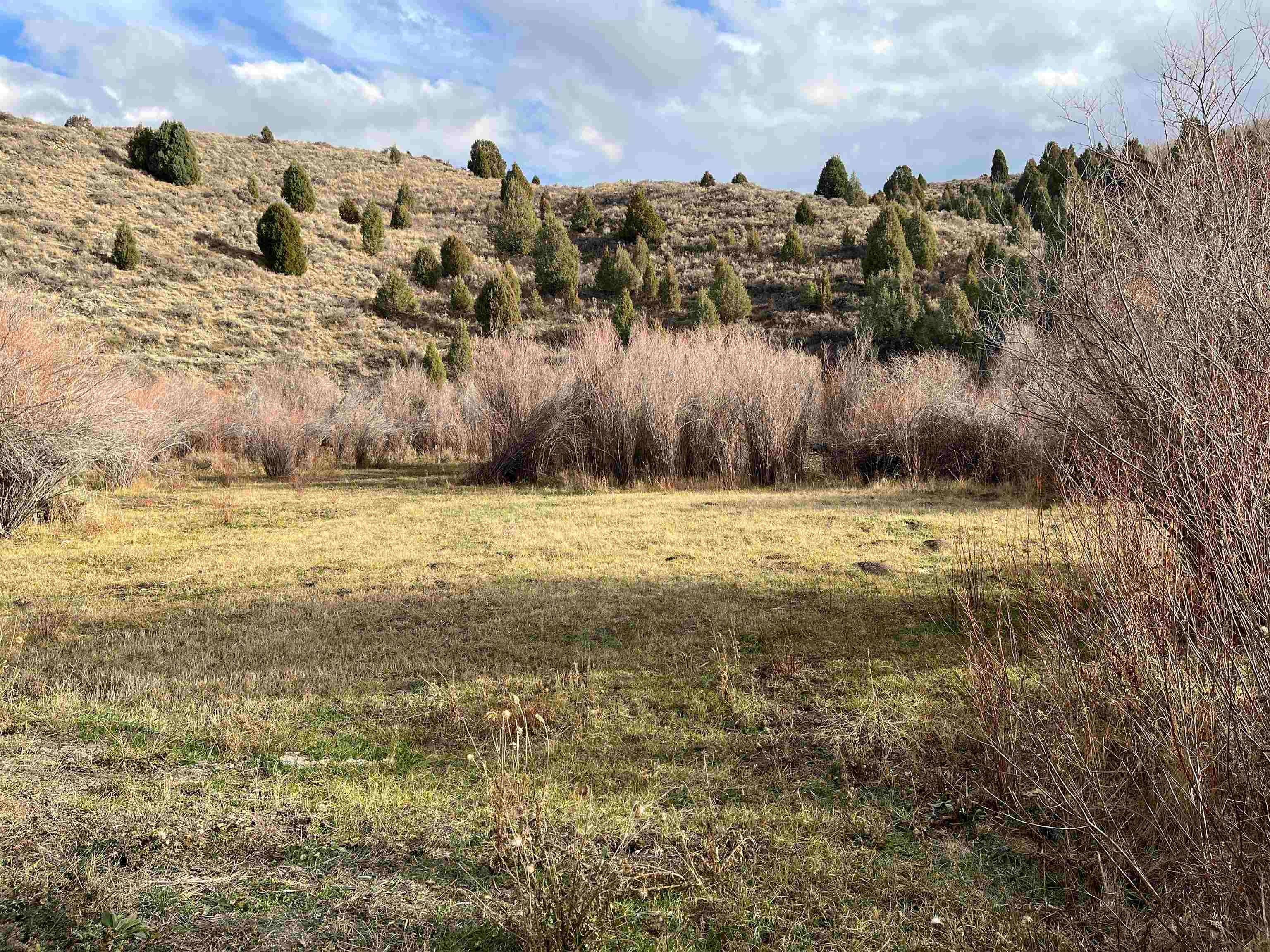 0 Dan Creek Road Firth, ID 83236 - Photo 22 of 50 Gallery Image 22