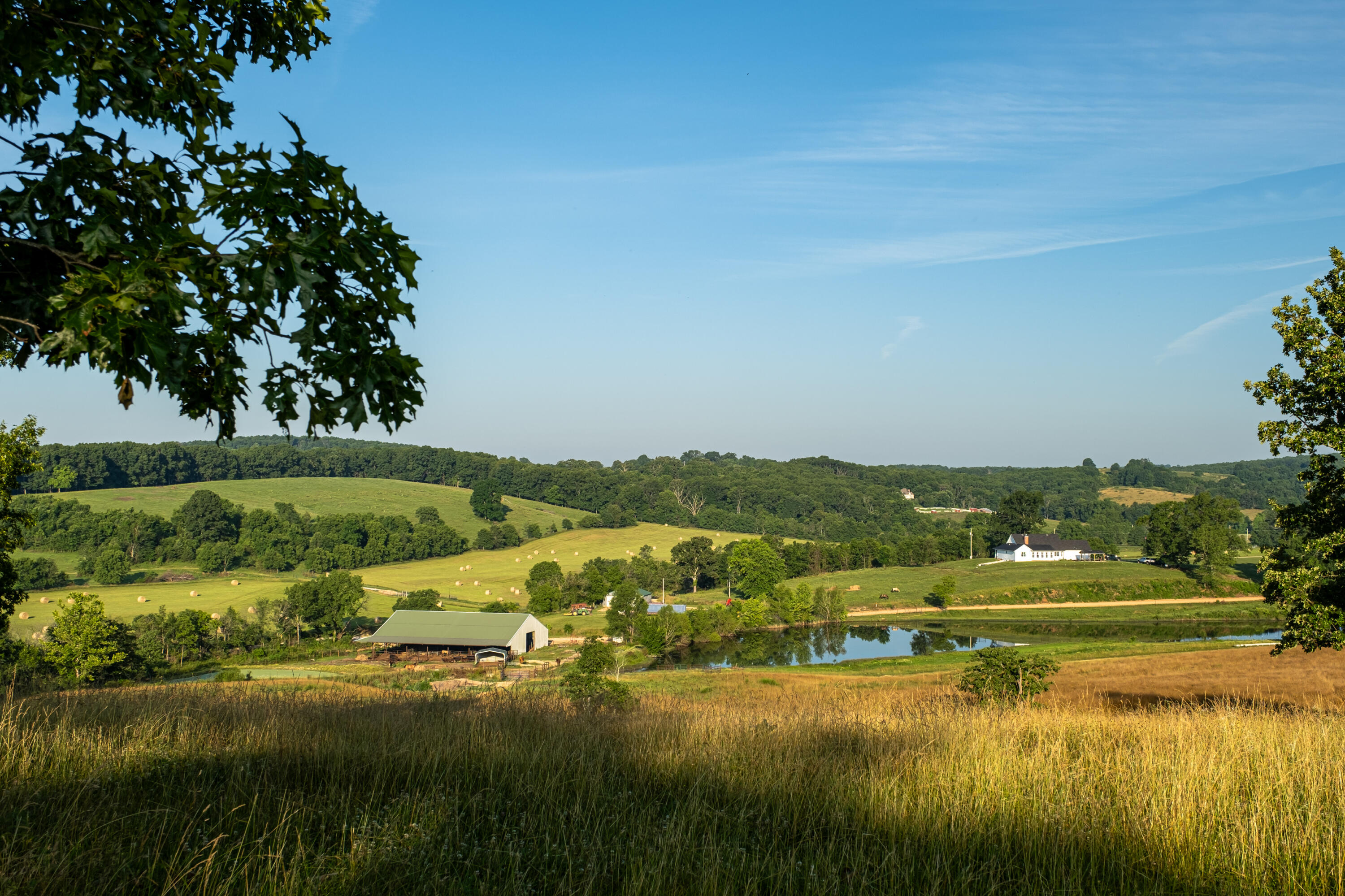 444 Rural Route 3, Unit O527 Ava, MO 65608 - Photo 50 of 89 AVA-FARM-DUSTIN-LEWIS-MLS-15