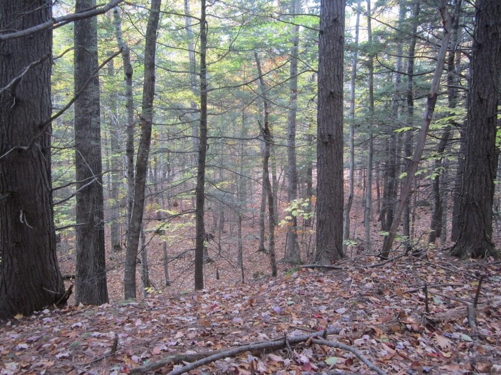 24 Pine Tree Road Litchfield, ME 04350 - Photo 24 of 35 Another great spot to build, closer...