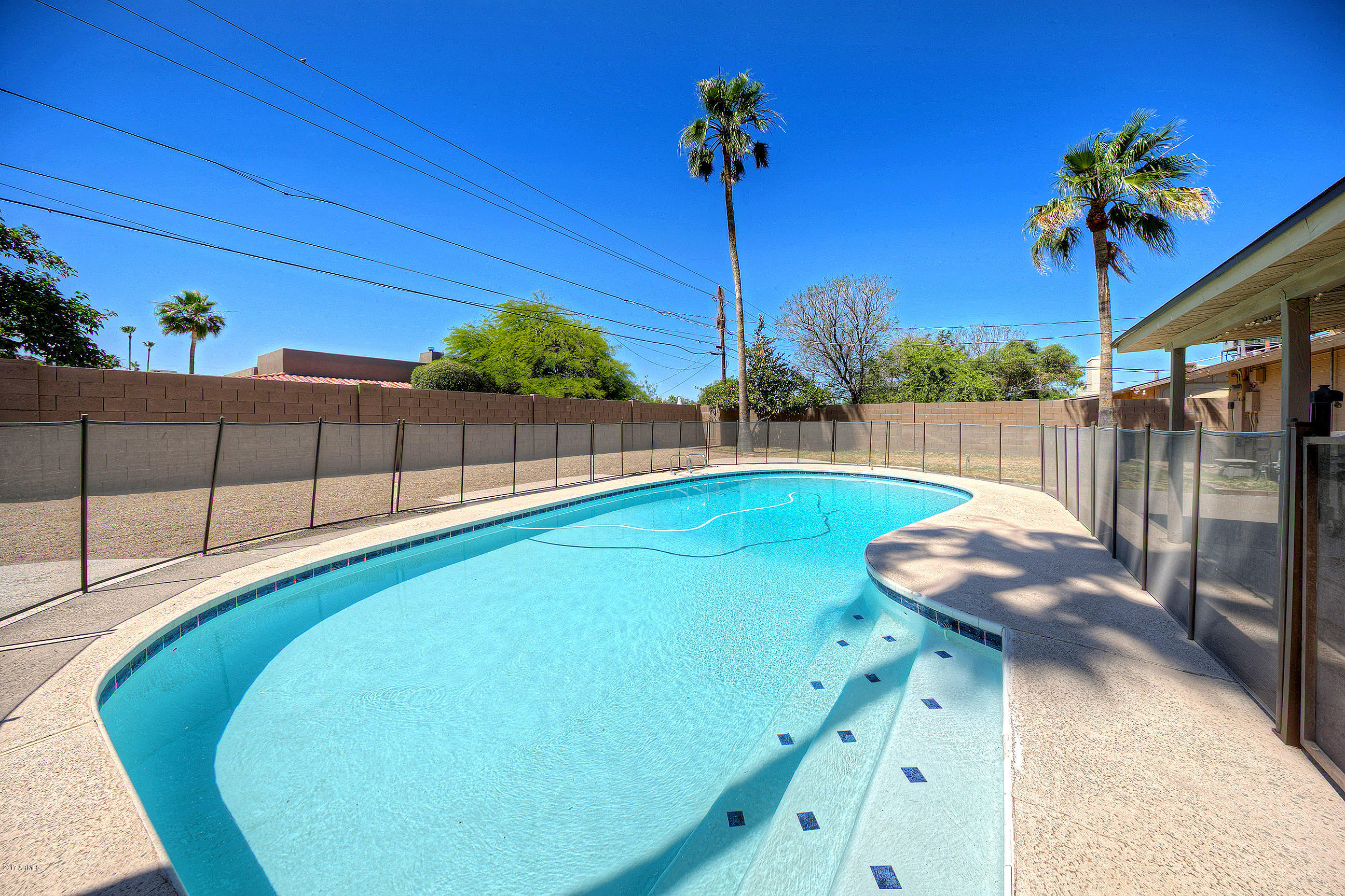 3351 East Beryl Lane Phoenix, AZ 85028 - Photo 5 of 33 Pool