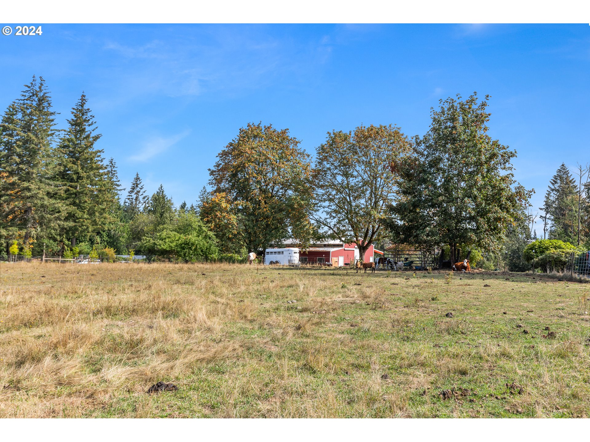 16370 Bell Street Sandy, OR 97055 - Photo 28 of 44 a view of a field with trees in the background