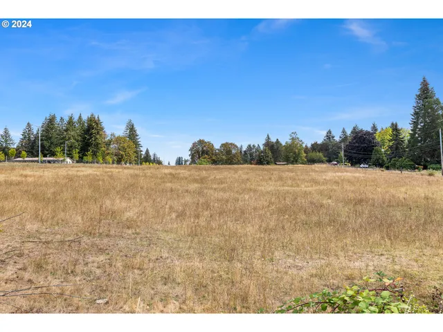 a view of a yard with large trees