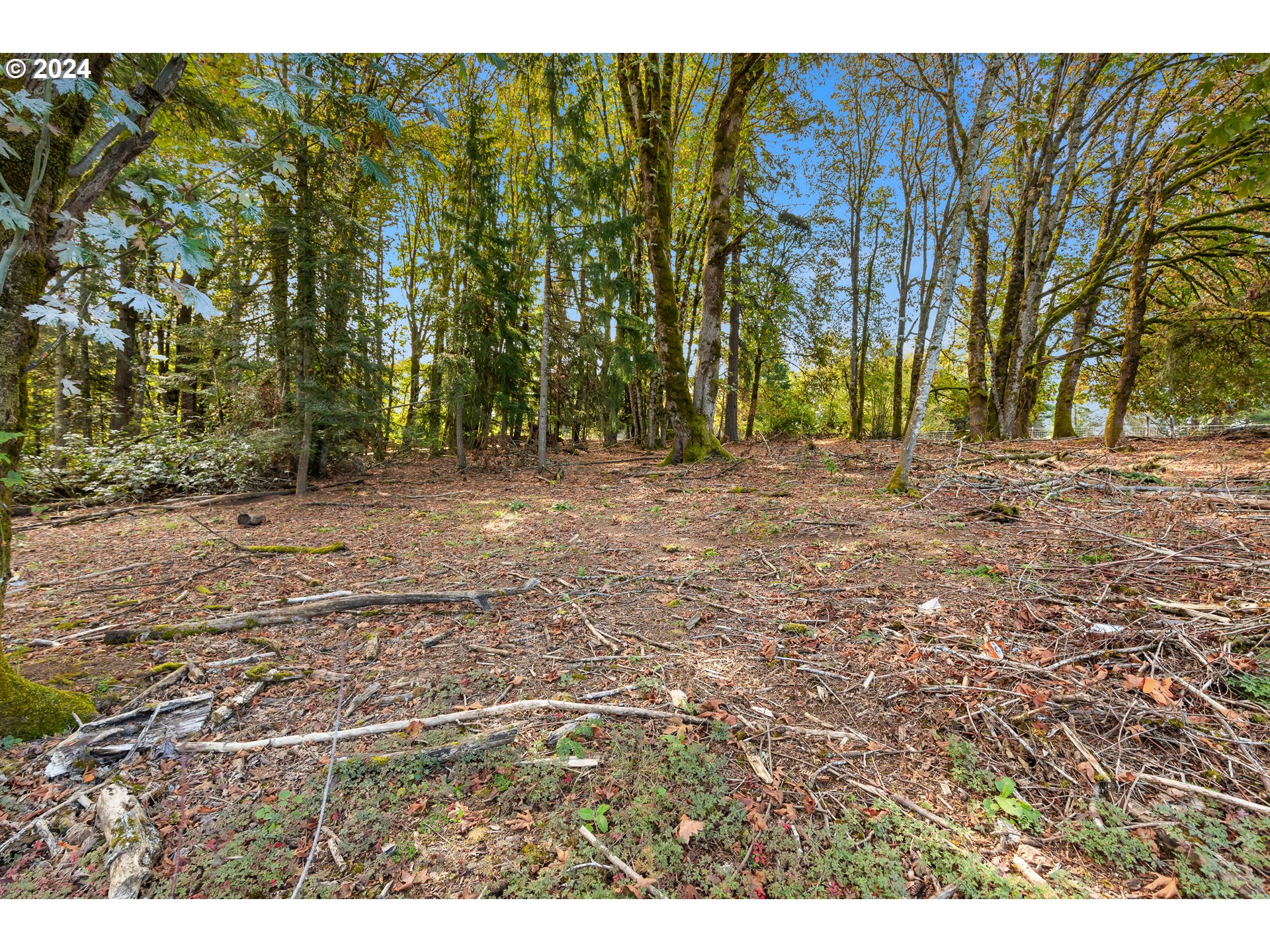 16370 Bell Street Sandy, OR 97055 - Photo 31 of 44 a view of a yard with large trees