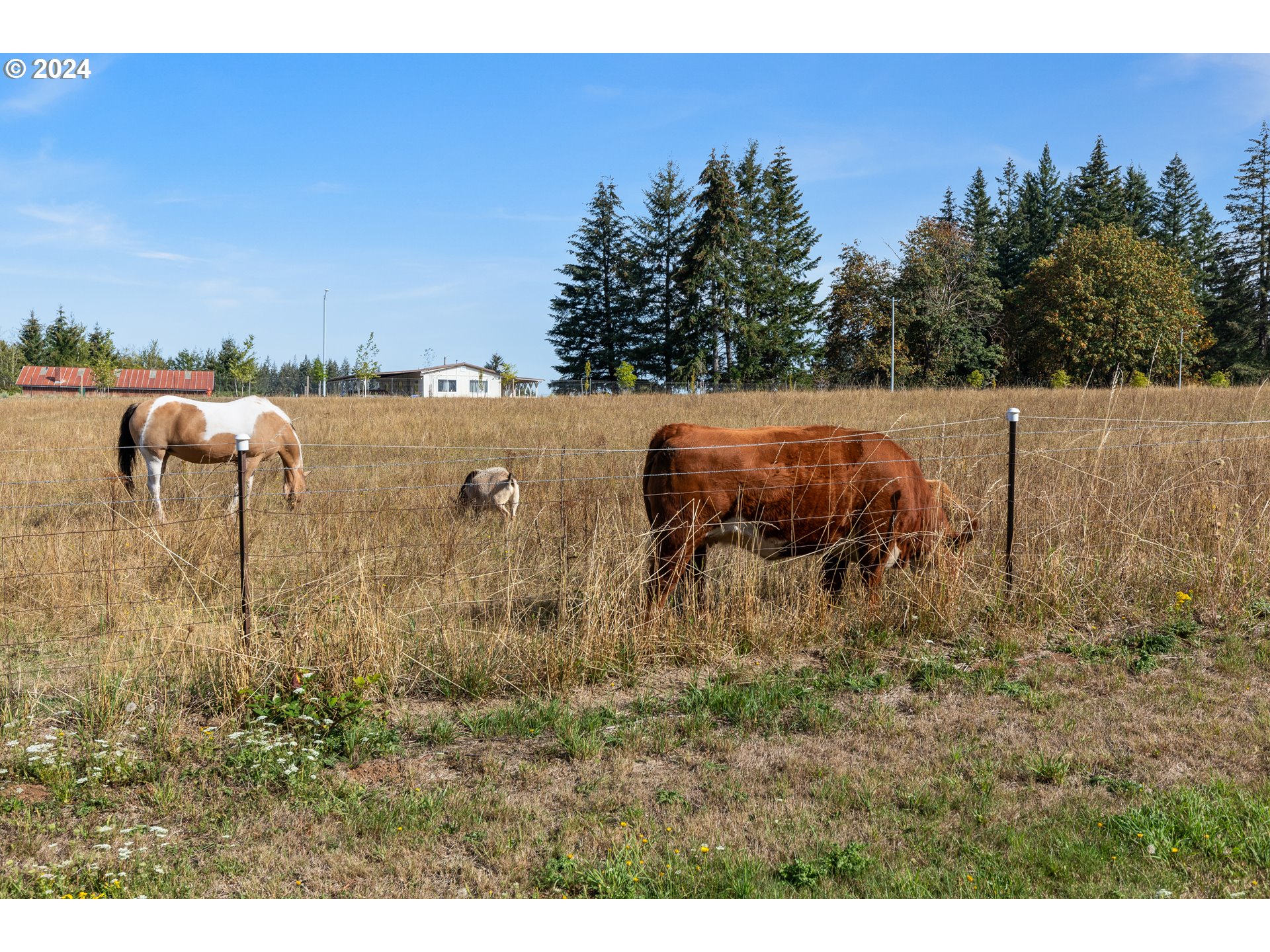 16370 Bell Street Sandy, OR 97055 - Photo 34 of 44 a view of a yard