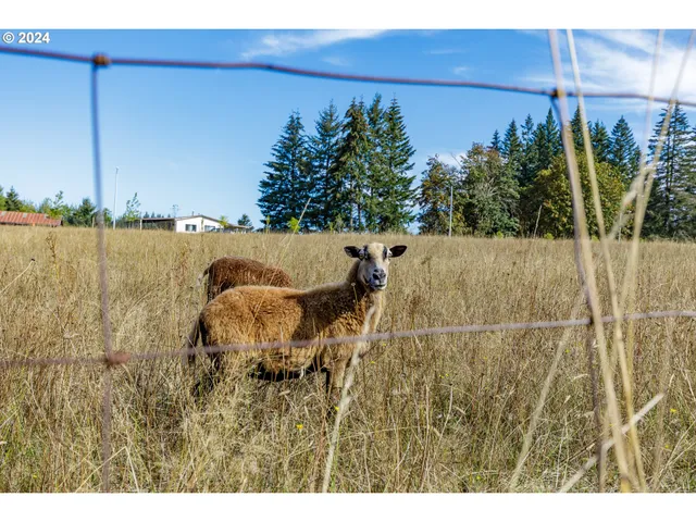 a view of balcony with wooden floor