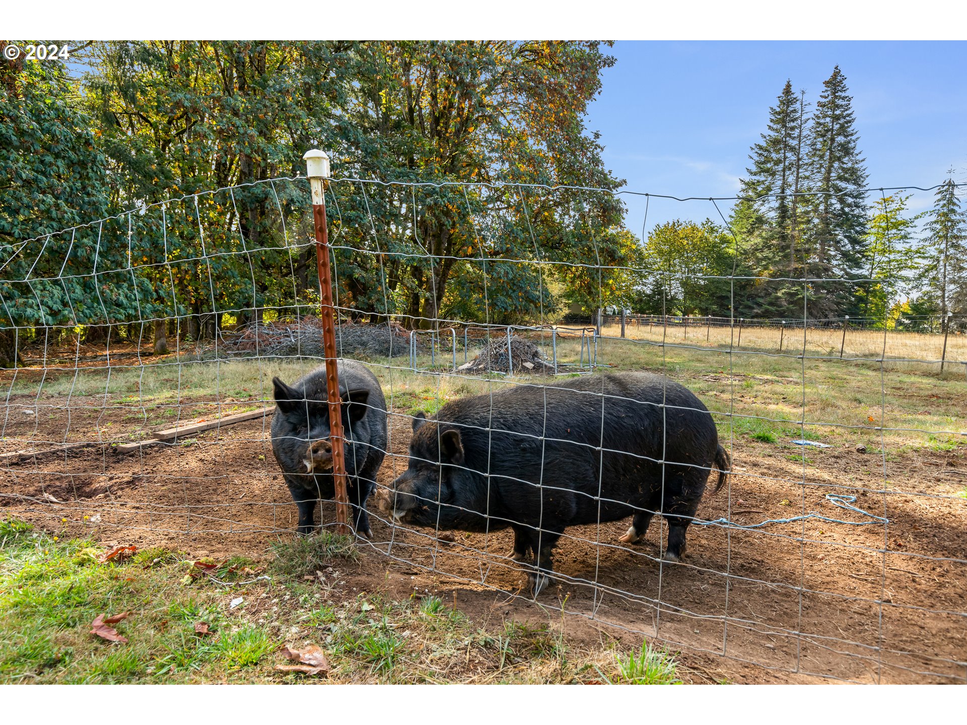 16370 Bell Street Sandy, OR 97055 - Photo 38 of 44 a backyard of a house with table and chairs