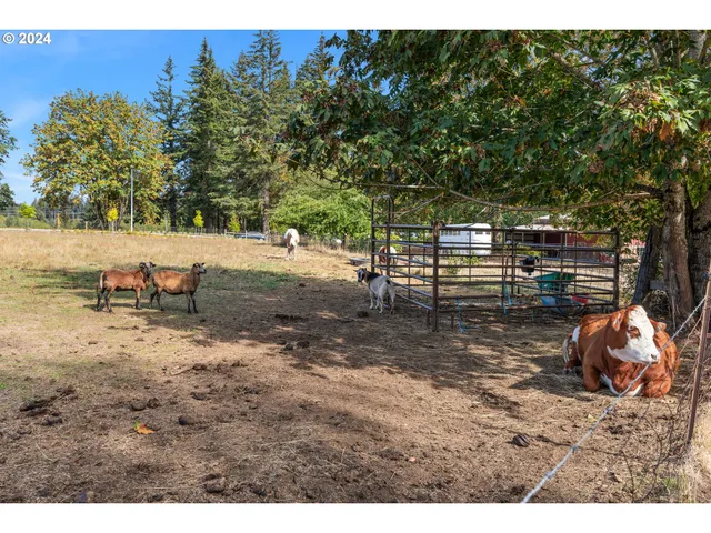 a view of a yard with an outdoor space