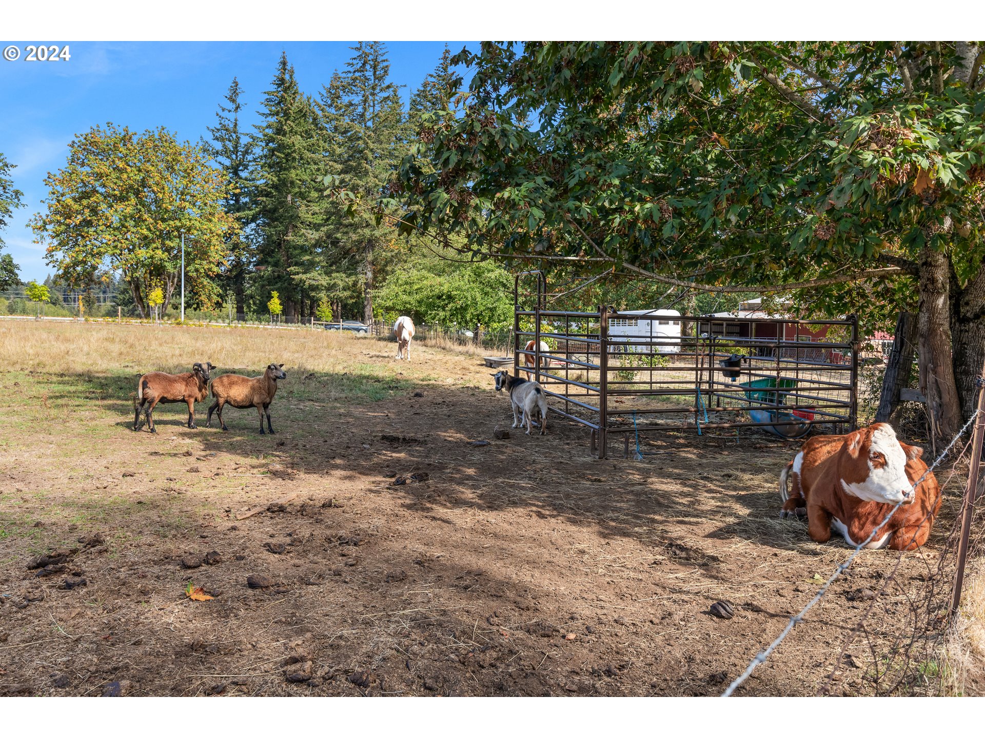 16370 Bell Street Sandy, OR 97055 - Photo 39 of 44 a view of outdoor space with seating