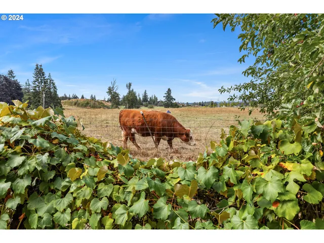 $2,995,000 | 16370 Bell Street, Sandy, OR 97055