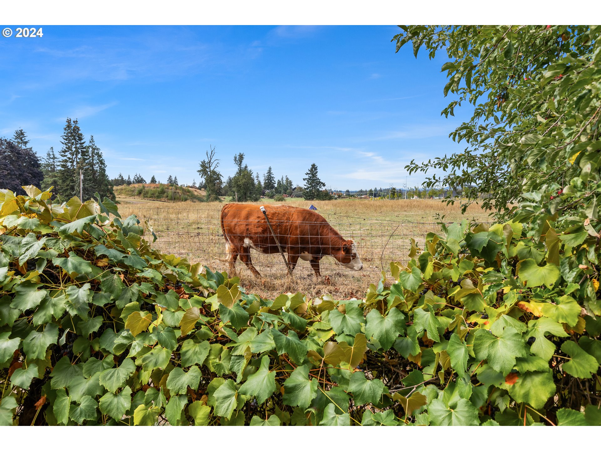 16370 Bell Street Sandy, OR 97055 - Photo 40 of 44 a view of a lake