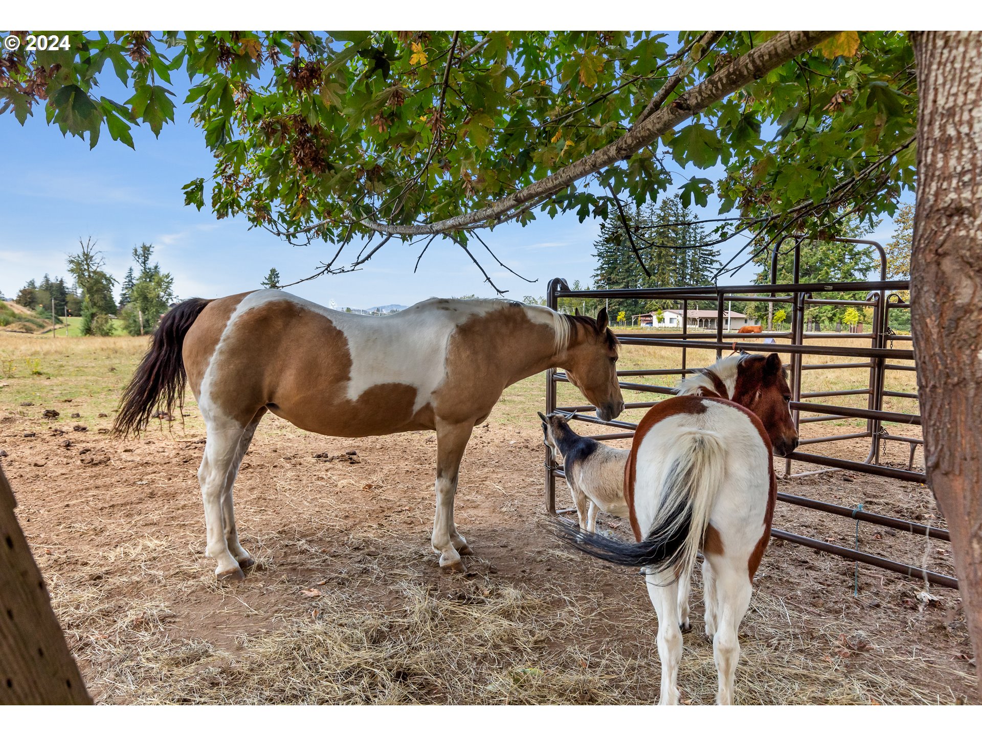 16370 Bell Street Sandy, OR 97055 - Photo 41 of 44 a view of balcony with wooden floor