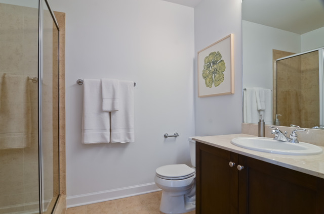 1201 South Prairie Avenue, Unit 706 Chicago, IL 60605 - Photo 11 of 13