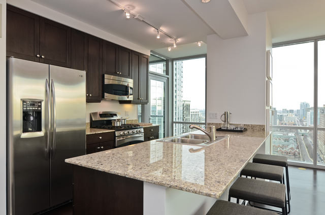 1201 South Prairie Avenue, Unit 706 Chicago, IL 60605 - Photo 5 of 13