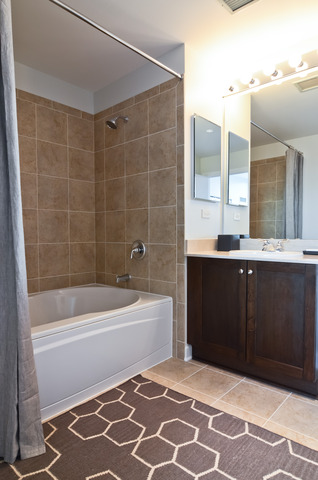 1201 South Prairie Avenue, Unit 706 Chicago, IL 60605 - Photo 9 of 13