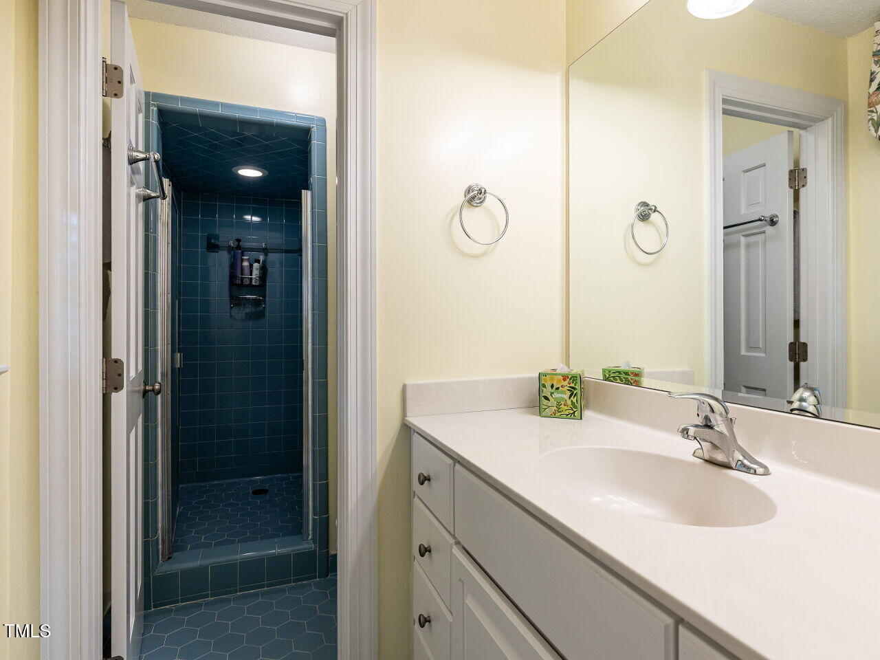 3209 Northampton Street Raleigh, NC 27609 - Photo 24 of 31 a bathroom with a double vanity sink mirror and shower