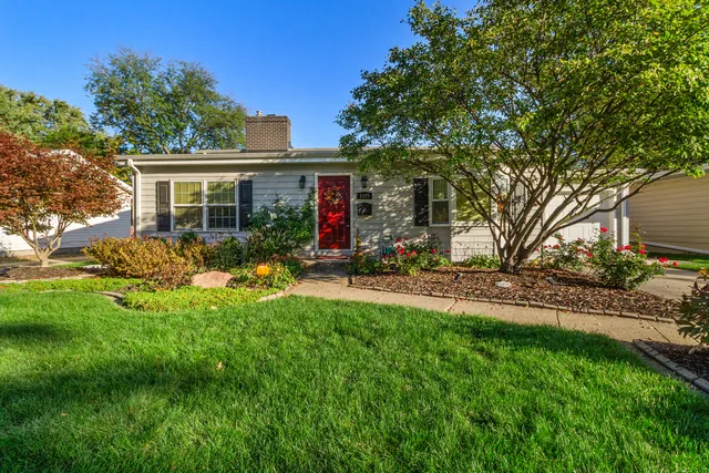 a view of a house with backyard and a tree