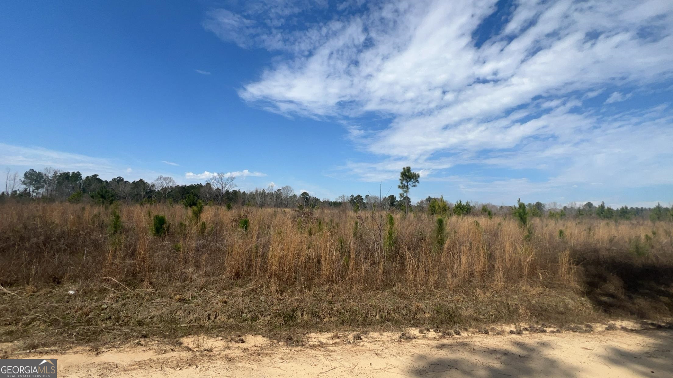 0 Felder Fulford Road Rockledge, GA 30454 - Photo 1 of 1 a view of lake