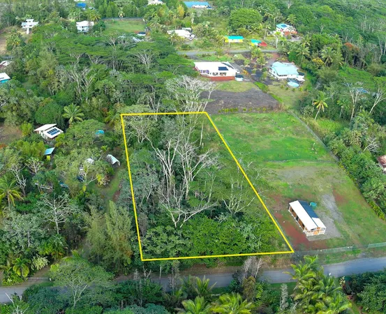 a view of a yard