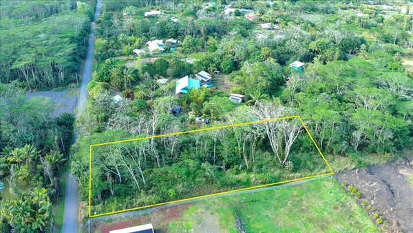 a view of a yard with plants