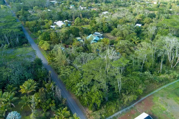 a view of a lush green forest with lots of trees