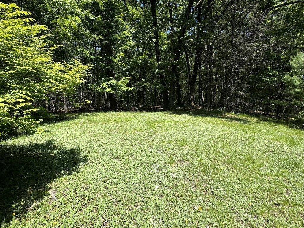 38 Rutland Street Carlisle, MA 01741 - Photo 7 of 18 a view of green field with trees in the background