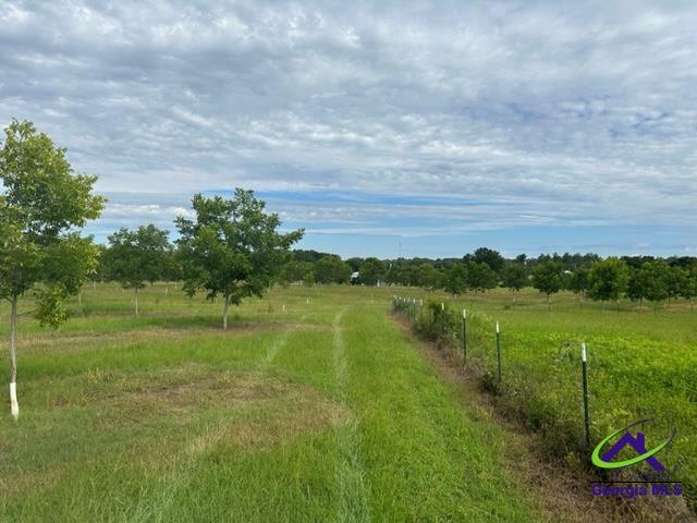 Henderson Springs Road Elko, GA 31025 - Photo 2 of 24