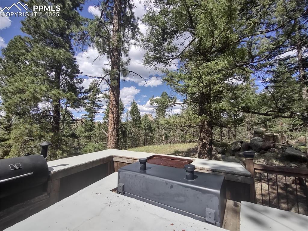 1176 Trail Creek Road Lake George, CO 80827 - Photo 1 of 48 a view of outdoor sitting area with furniture