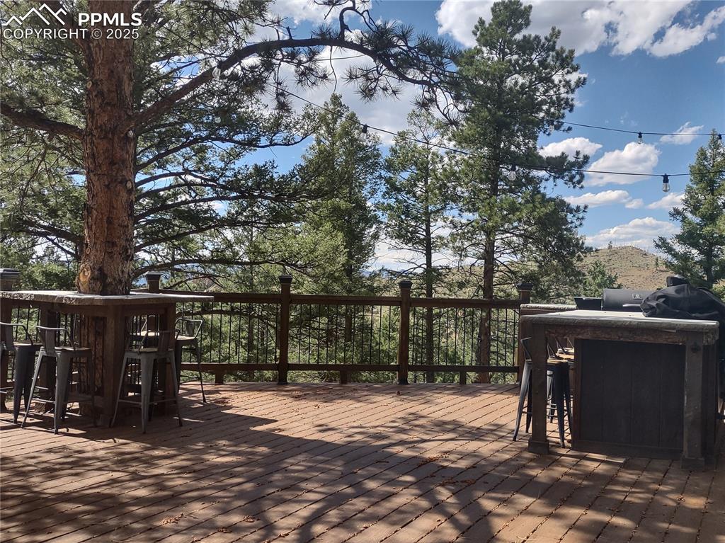 1176 Trail Creek Road Lake George, CO 80827 - Photo 15 of 48 a view of outdoor space with deck and tree