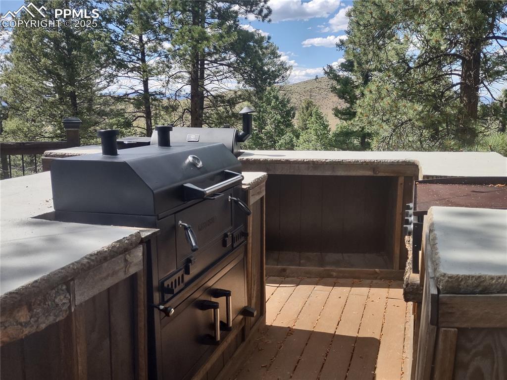 1176 Trail Creek Road Lake George, CO 80827 - Photo 19 of 48