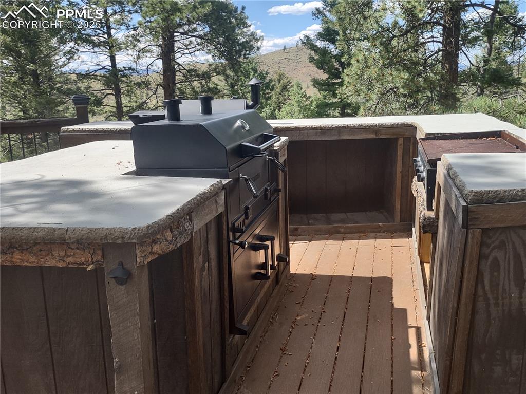 1176 Trail Creek Road Lake George, CO 80827 - Photo 20 of 48