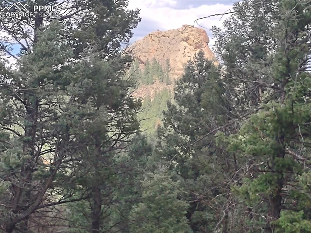 1176 Trail Creek Road Lake George, CO 80827 - Photo 2 of 48 a view of a forest with lots of trees