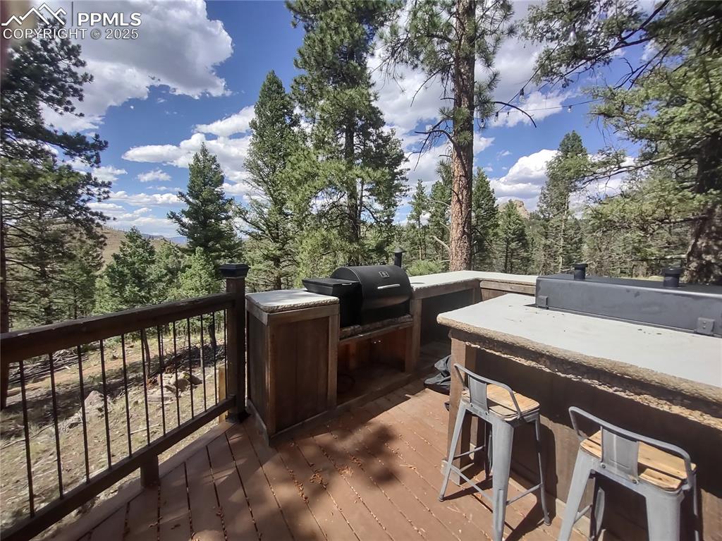 1176 Trail Creek Road Lake George, CO 80827 - Photo 25 of 48 a view of a patio with iron fence