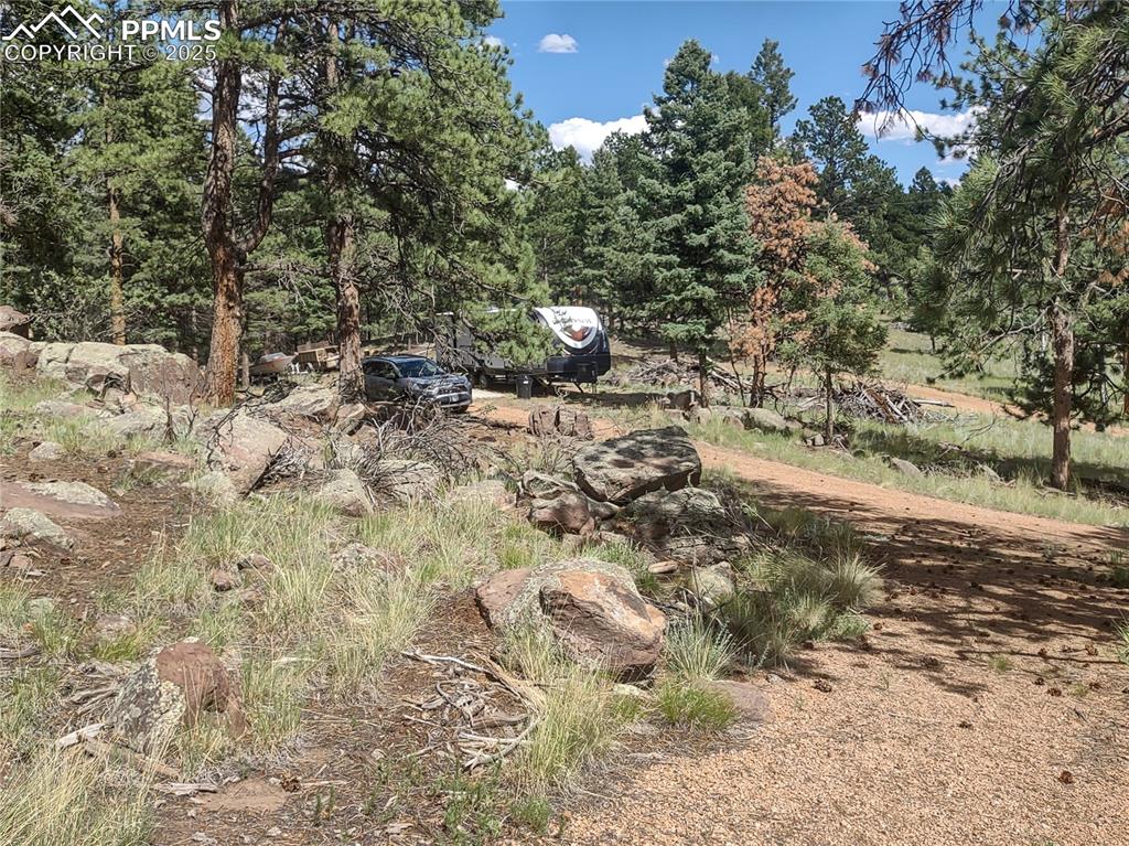 1176 Trail Creek Road Lake George, CO 80827 - Photo 27 of 48 a picture of trees