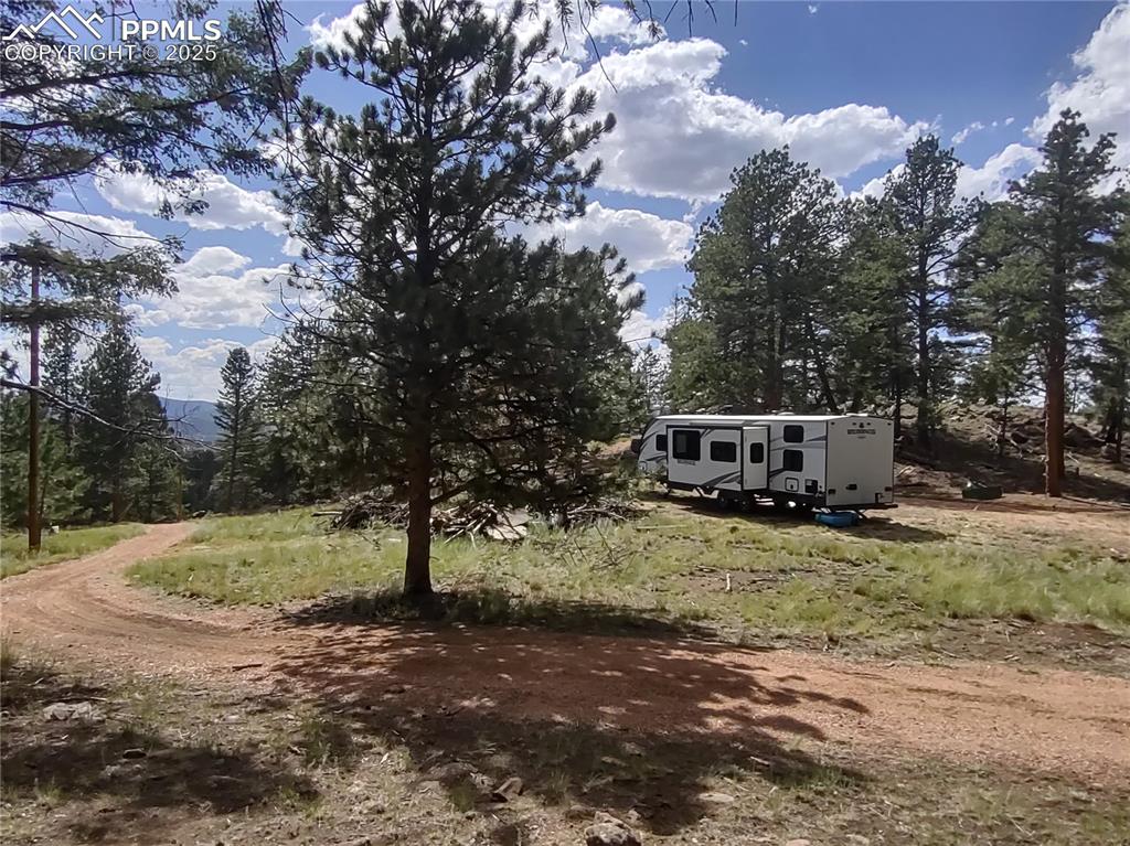 1176 Trail Creek Road Lake George, CO 80827 - Photo 28 of 48 a view of a house with a yard