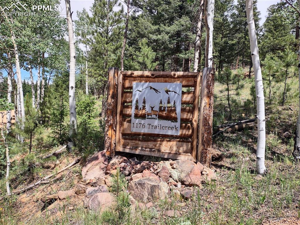 1176 Trail Creek Road Lake George, CO 80827 - Photo 3 of 48 a view of a pathway of a yard