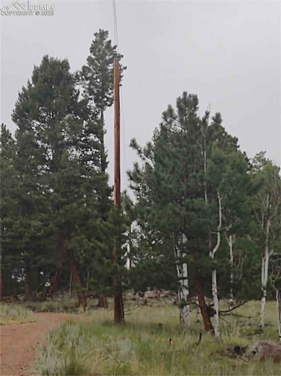 1176 Trail Creek Road Lake George, CO 80827 - Photo 47 of 48 a view of a tree with a yard