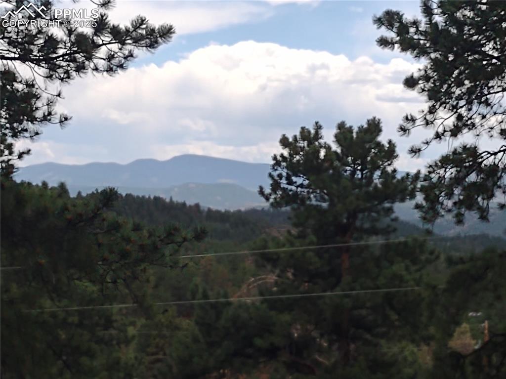 1176 Trail Creek Road Lake George, CO 80827 - Photo 5 of 48 a view of a houses with a yard
