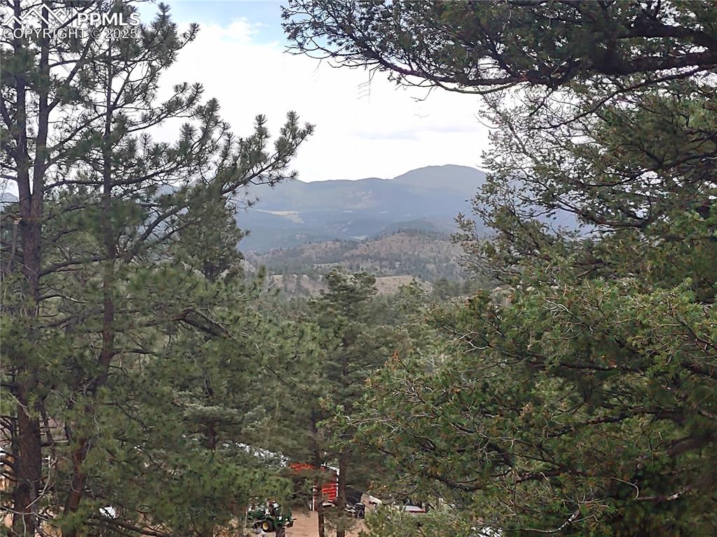 1176 Trail Creek Road Lake George, CO 80827 - Photo 6 of 48 a view of a forest with a tree in the background
