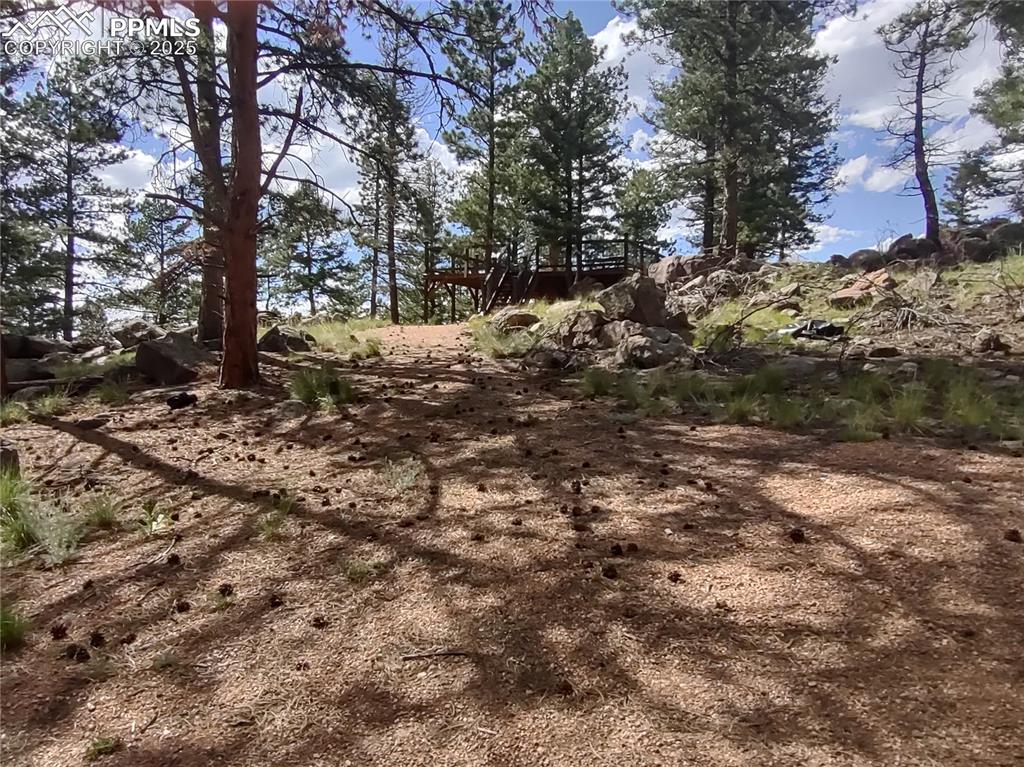 1176 Trail Creek Road Lake George, CO 80827 - Photo 7 of 48 a view of a yard with large trees