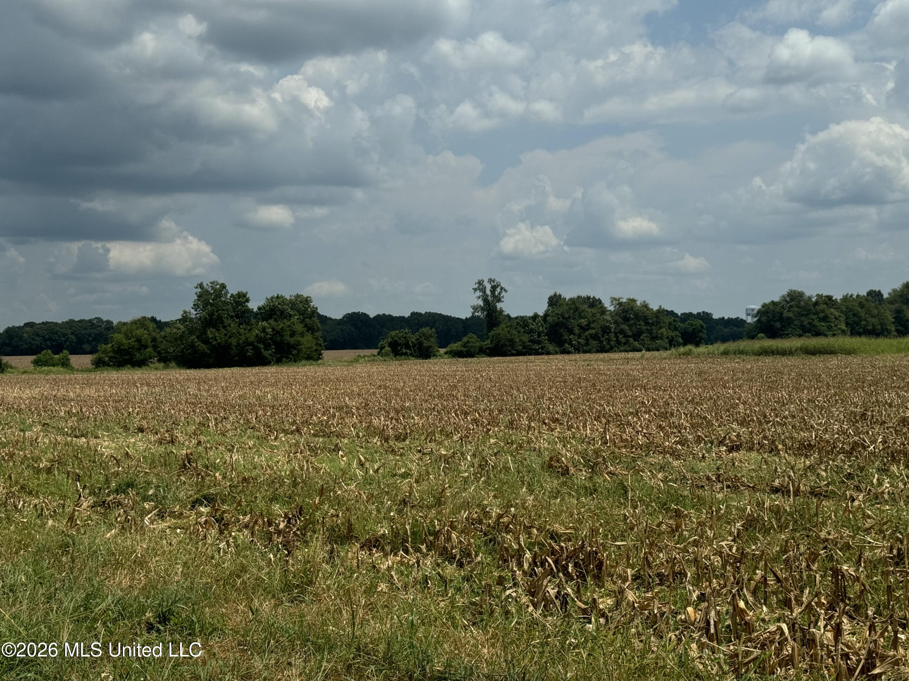 Finney Road Canton, MS 39046 - Photo 9 of 10 IMG_2472