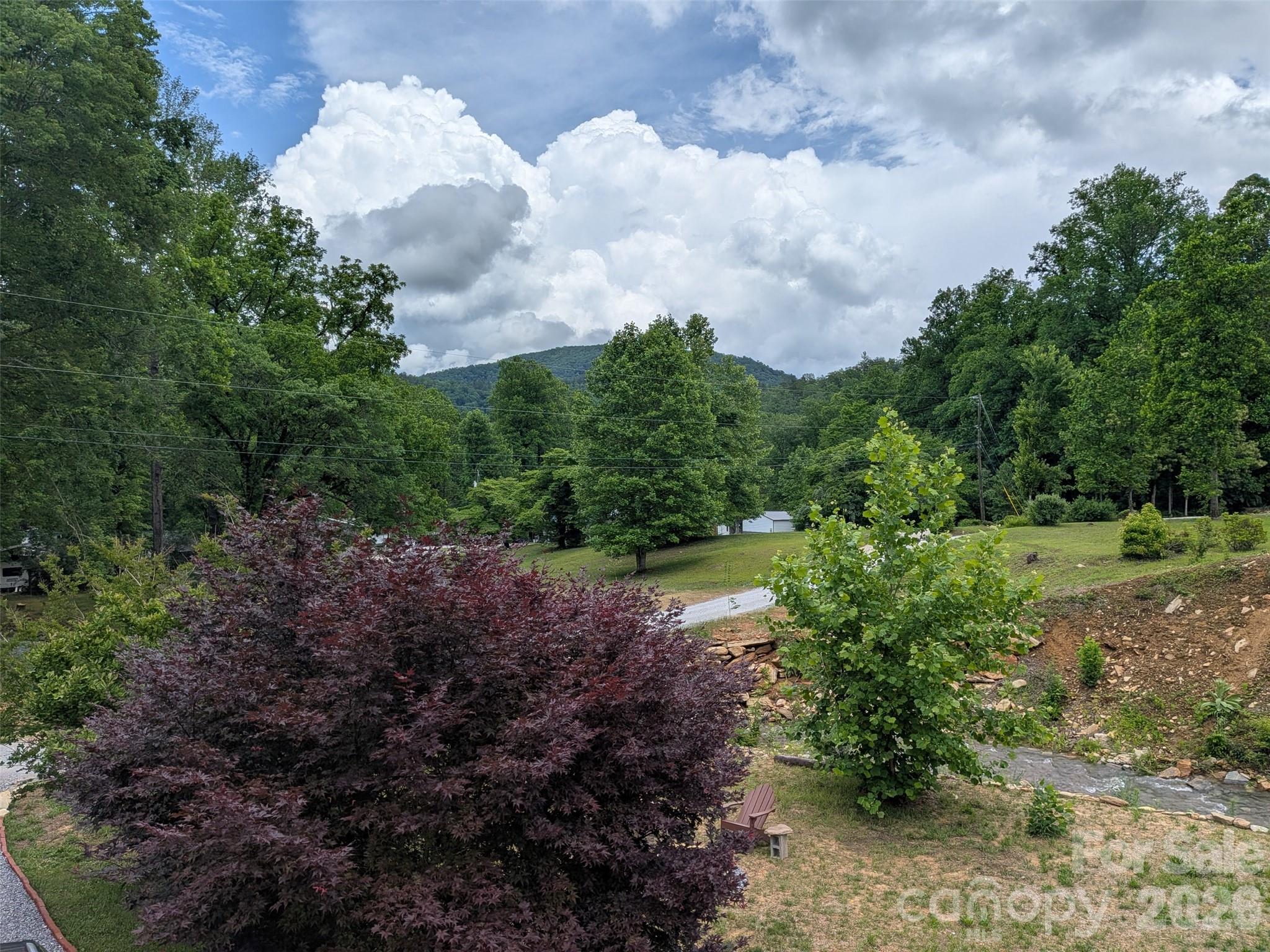 227 Locust Cove Road Marion, NC 28752 - Photo 29 of 34 a view of a bunch of trees and bushes