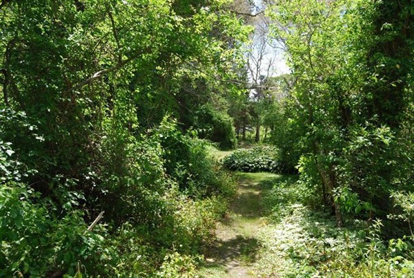325 Shore Road Bourne, MA 02532 - Photo 1 of 9 Gallery Image 1