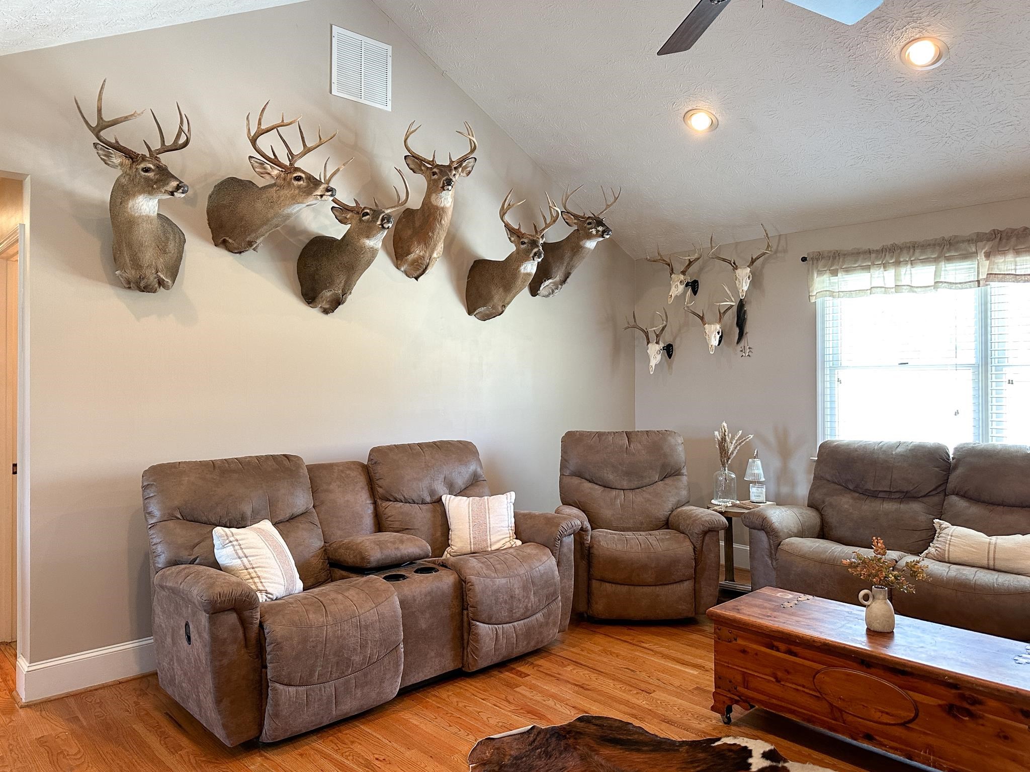 164 Spring Meadows Staunton, VA 24401 - Photo 24 of 37 a living room with furniture and a window