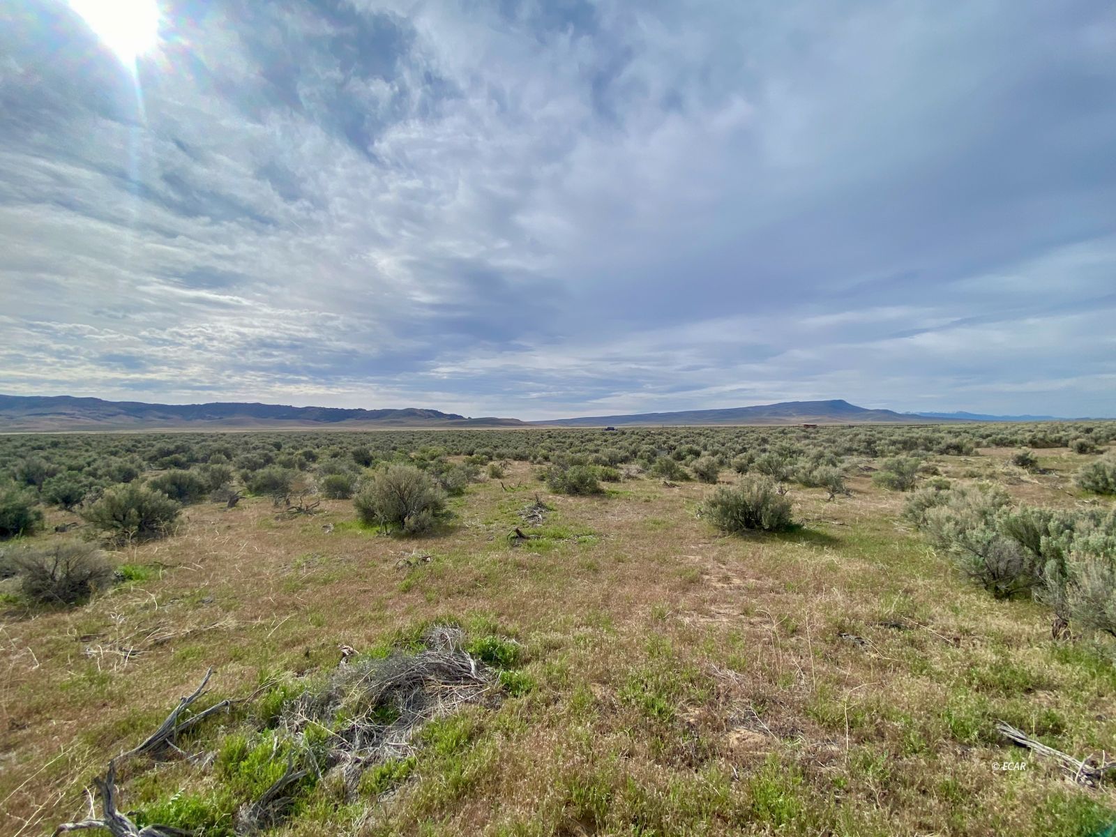 Izzenhood Ranch/ Gap Road Battle Mountain, NV 89820 - Photo 2 of 18
