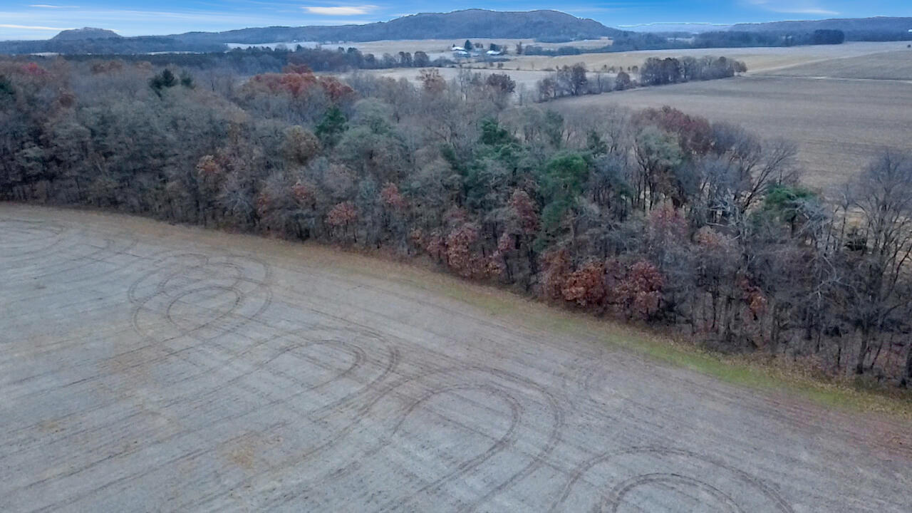 W4961 Cemetery Road Mauston, WI 53948 - Photo 14 of 17 2025-11-15-07-08-57-739 (2)