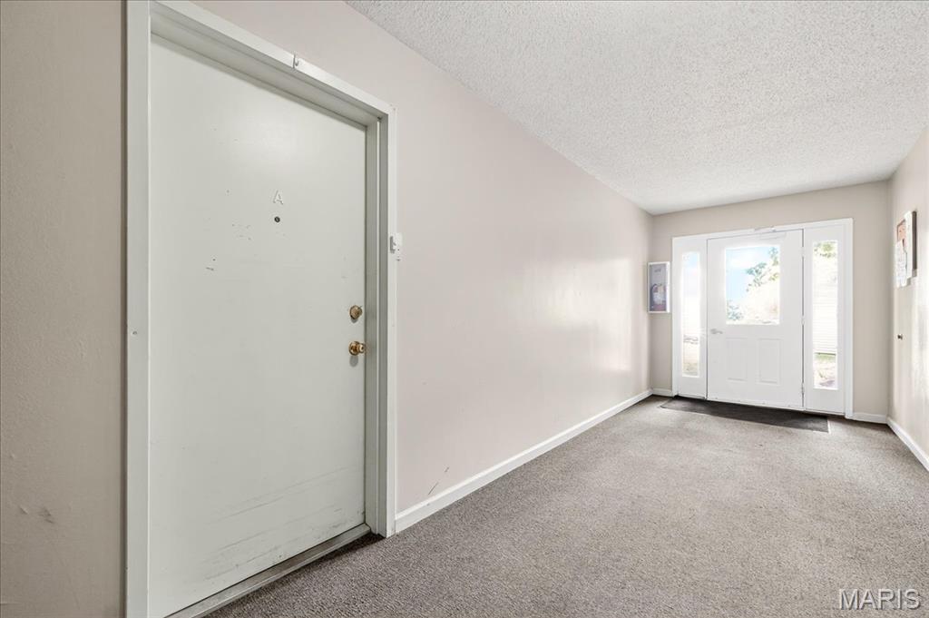 5265 Cricket Glen Court, Unit A St. Louis, MO 63129 - Photo 3 of 19